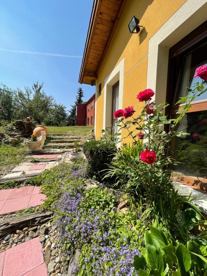 Hostel Arenos Velilla del Rio Carrion Zewnętrze zdjęcie